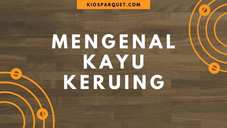 mengenal kayu keruing