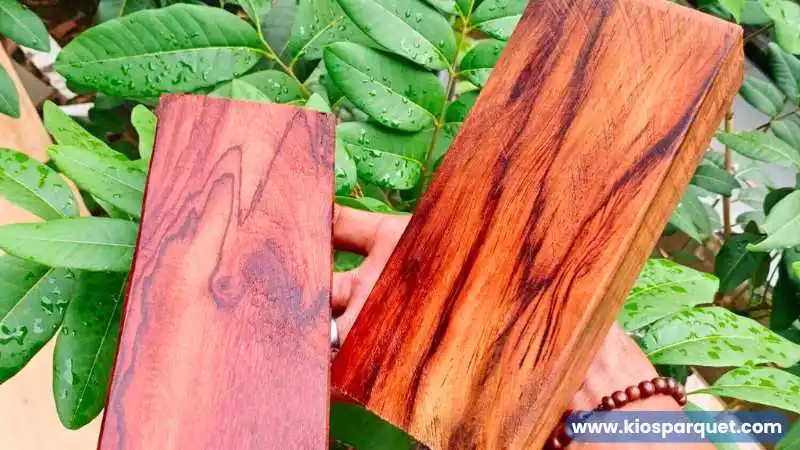 karakteristik kayu sonokembang