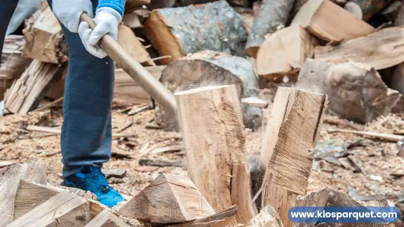 kayu cedar